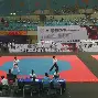 包含关中雄鲨队小胜关东山猫队，跆拳道公开赛上演裁判判罚引热议！外援联手发威的词条-开元官方平台入口